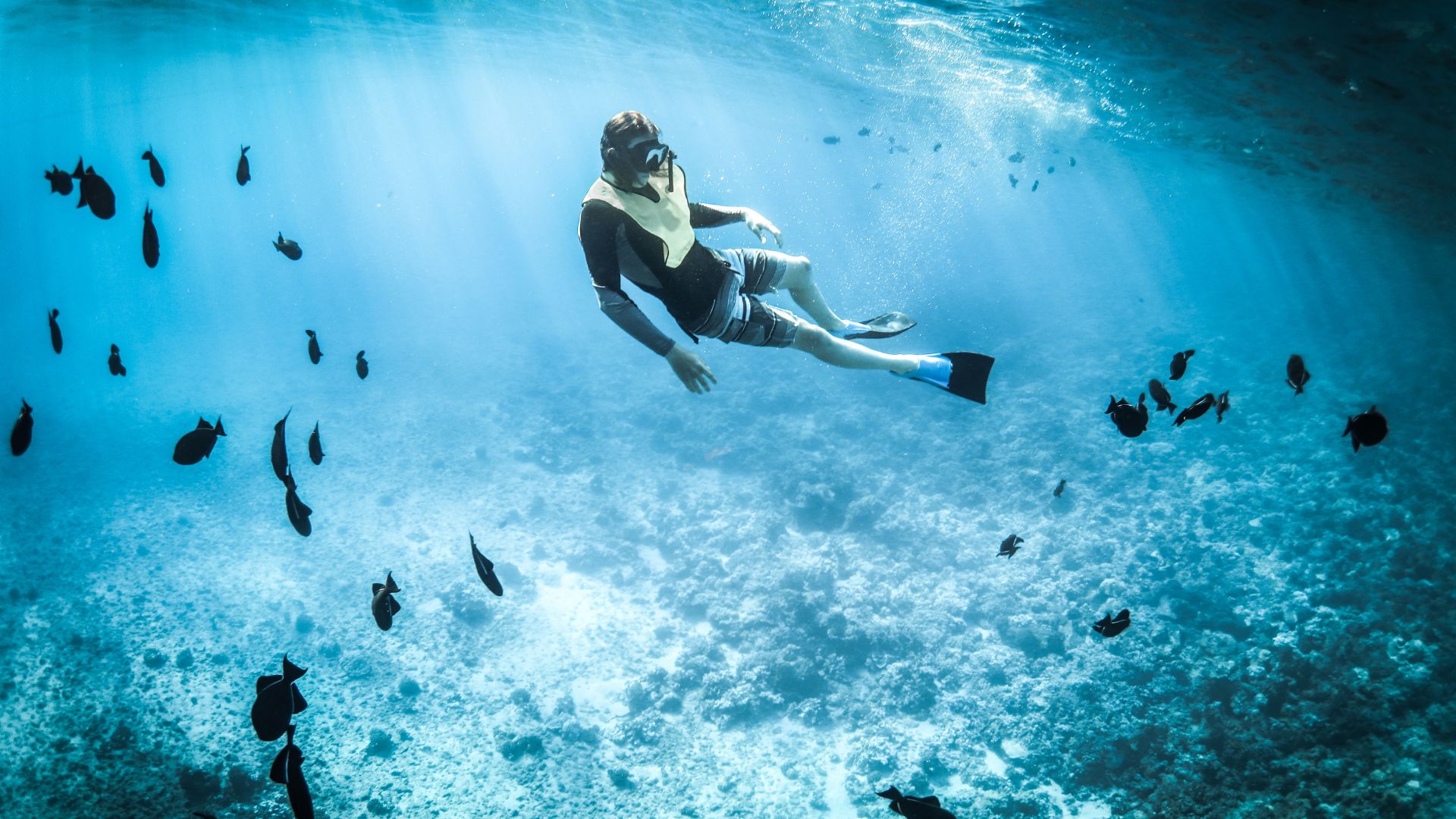 Snorkeling at Molokini Crater