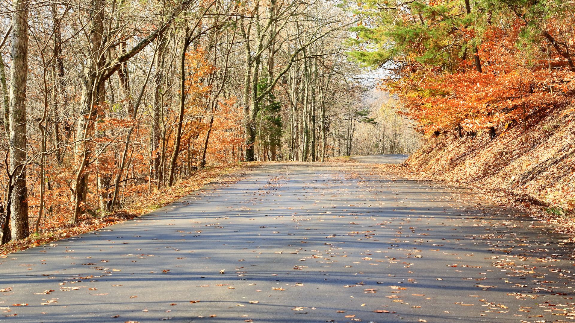 New York in Fall