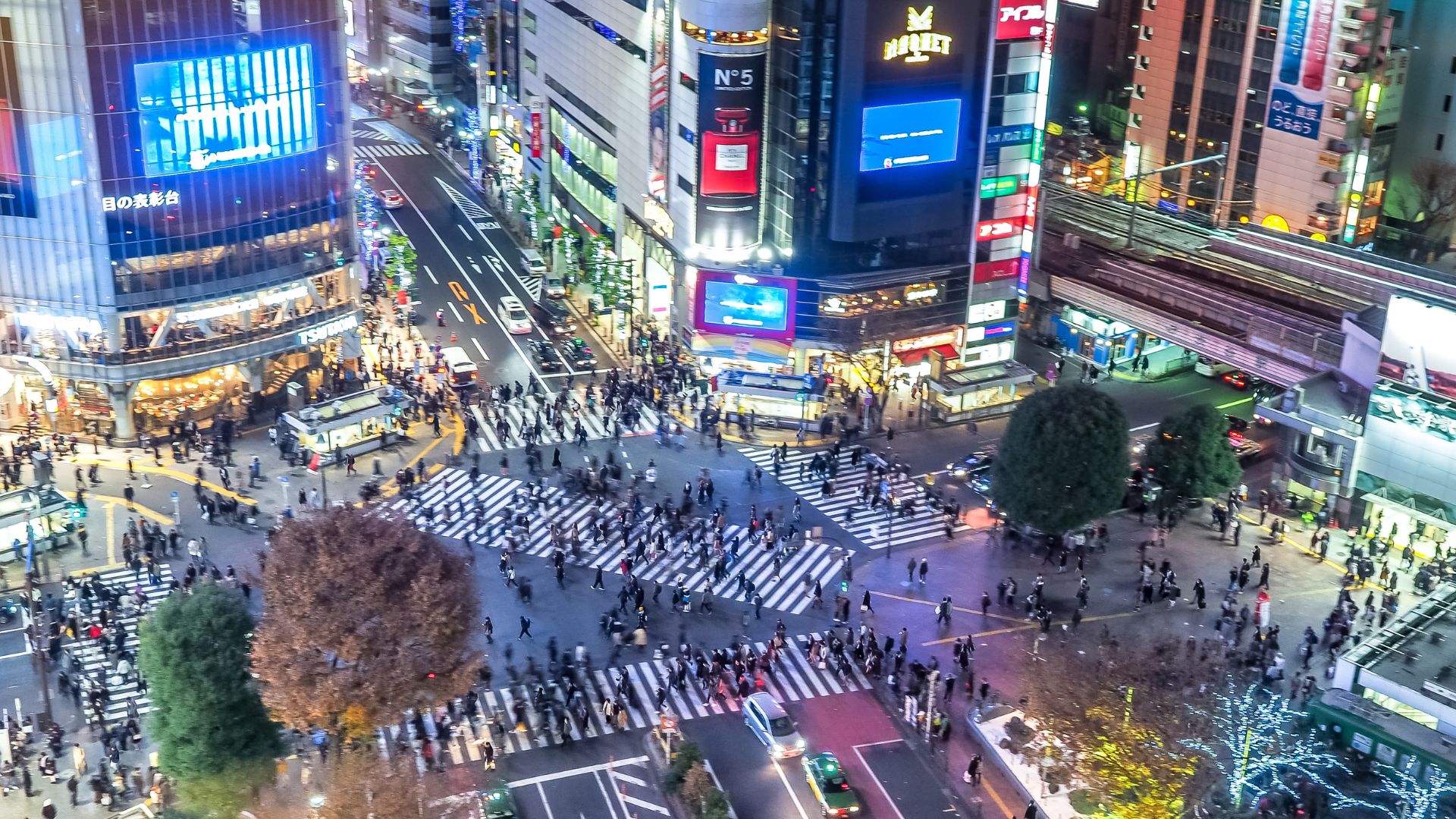 Shibuya Crossing